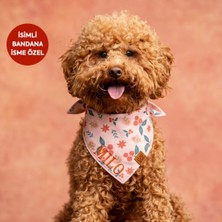 Lusi Doog Isme Özel Köpek Bandana Isimli Köpek Fular Kişiselleştirilebilir Köpek Bandanası (Noel Desenli)