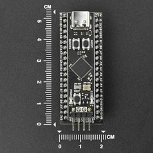 Gollum Teknoloji STM32F411CEU6 Black Pill Geliştirme Kartı – 16MB Spı Flash (W25Q128) ve Pinleri Lehimli