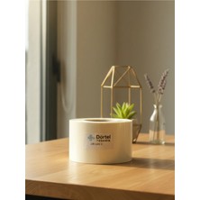 Dörtel Tedarik Noter Fotoğraf Bandı Şeffaf Boş Etiket Çiftli 250 Adet 140X50