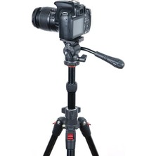 Digipod E-2241TP + VH-02W Video Tripod Kiti