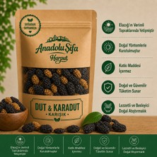 Anadolu Şifa Harput Karışık Karadut ve Ulukale Dut Kurusu 100 gr Doğal ve Katkısız Kurutulmuş Meyve