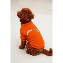 United Colors Of Benetton BNT-S2514 Sweatshirt Turuncu