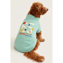United Colors Of Benetton BNT-S2507 Sweatshirt Turkuaz