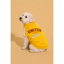 United Colors Of Benetton BNT-S2501 Sweatshirt Sarı
