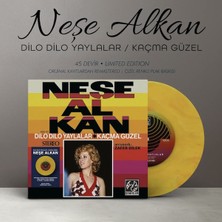 Değer Neşe Alkan Dilo Dilo Yaylalar - Kaçma Güzel Plak (45 Lik Renkli Plak)