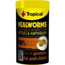 Tropical Meal Worms 100 ML/13GR