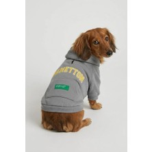 United Colors Of Benetton BNT-S2508 Kapişonlu Sweatshirt Gri