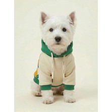 United Colors Of Benetton BNT-S2510 Kapişonlu Sweatshirt Sarı