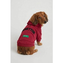 United Colors Of Benetton BNT-S2509 Kapişonlu Sweatshirt Kırmızı