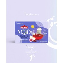 Çaykur Mod Dört Mevsim Dinamik Bardak Poşet Çay 40GR 20'li X4 Adet