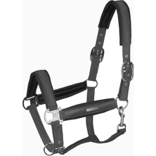 Waldhausen Breath Mesh Saten Konforlu At Halteri