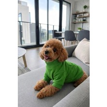 United Colors Of Benetton BNT-J2501 Ceket Yeşil