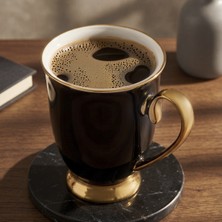 Aryıldız Carat Kupa Siyah 325 ml