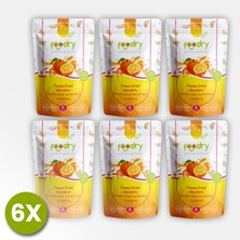 Foodry Freeze-Dry Mandalina (Freeze Dried Mandarin) | Dondurularak Kurutulmuş Meyve Kurusu 17G *6