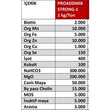 Nesta Pure Strong Büyükbaş Küçükbaş Ayak Tırnak Bakımı ve Sindirim Asidoz Ürünü