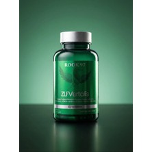 Rook 97 Rook Zlf Vertalis