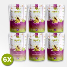 Foodry Freeze-Dry Incir (Freeze Dried Fig) | Dondurularak Kurutulmuş Meyve Kurusu 17G *6