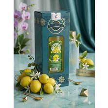 Tuval Kutulu 80°  Limon Kolonyası