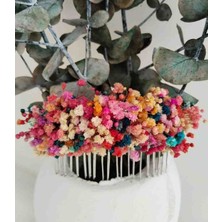 Handmade Rengarenk Cipso Tarak Toka Parti Taçları Tasarım