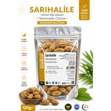 Botaniksan Sarıhalile 120GR – Terminalia Citrina (Yellow Myrobalan) Doğal Bitkisel Ürün