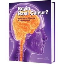 Beyin Nasıl Çalışır? (Ciltli)