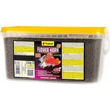 Tropical Flower Horn Young Pellet Cichlid Yemi 100GR