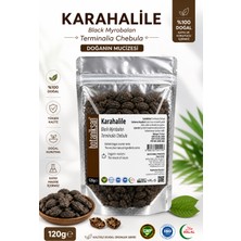 Botaniksan Karahalile 120GR – Terminalia Chebula (Siyah Halile) Doğal Bitkisel Ürün
