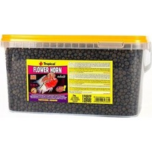 Tropical Flower Horn Adult Pellet Cichlid Yemi 100GR
