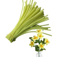 hyc heryerçiçeklenir 50 Adet Açık Sarı Şönil, Çiçek Yapımına Uygun Tüylü Tel, 30 cm 6mm