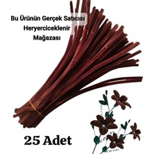 hyc heryerçiçeklenir 50 Adet Koyu Kahve Şönil, Çiçek Yapımına Uygun Tüylü Tel, 30 cm 6 mm