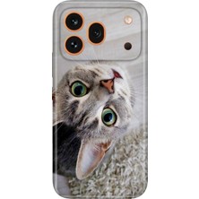 Senada Honor 600 Pro (Vkp-Nx9) Kılıf Desenli Baskılı Tpu Rubber Kapak Evdeki Kedi