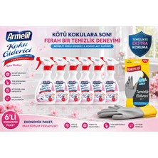 Armelit Wc Oil Koku Giderici Sprey Bahar Çiçekleri 250 ml 6 Adet