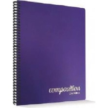Çınar Defter Composition Plastik Kapak 80 Yaprak Spiralli Çizgili Defter
