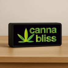 Sfenks. Canna-Bliss LED Lamba & Masa Lambası & Gece Lambası