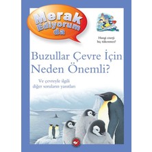 Mabelme Store Merak Ediyorum Da - Buzullar Çevre Için Neden Önemli?