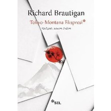 TeknoKapsül Tokyo - Montana Ekspresi