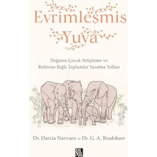 TeknoKapsül Evrimleşmiş Yuva