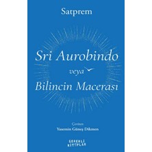 TeknoKapsül Sri Aurobindo Veya Bilincin Macerası