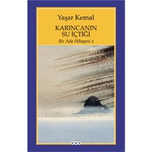 TeknoKapsül Bir Ada Hikayesi 2 - Karıncanın Su Içtiği