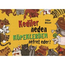 Mabelme Store Kediler Neden Köpeklerden Nefret Eder?
