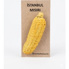 Mısır Magnet