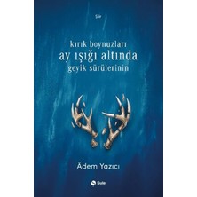 Şule Yayınları Kırık Boynuzları Ay Işığı Altında Geyik Sürülerinin