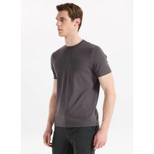 Altınyıldız Classics Antrasit Erkek T-Shirt PAE090000012_ATR