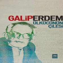 Ülkücünün Çilesi