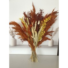 Hidden Botanics Naturel Kurutulmuş Çiçek Buketi - 50 cm Büyük Boy Kahverengi Şoklanmış Vazo Çiçeği