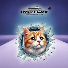 Moton Kedi Sarman Araç Sticker 10CM x 10CM