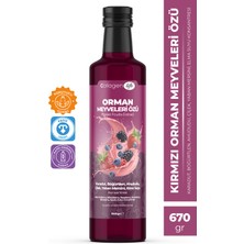 Collagen Life Orman Meyveleri Özü 640 gr