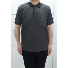 Becces Fistan Store Erkek Çizgili Klasik Kesim Rahat Kalıp Tek Cepli Polo Yaka T-Shirt