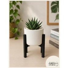 Dekoratif 2 Renkli Ayaklı Saksı-Bitki,Çiçek,Kaktüs ve Sukulent Saksısı-Modern Tarz Saksı