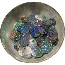 10 Gram Yandan Delikli Güpür Takı Kumaş Süsleme Pulu Plastik Payet Pul 20MM Boncuk - Renk : Gümüş Pul